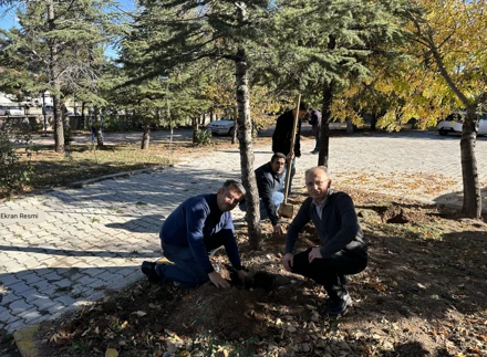 24 KASIM  ÖĞRETMENLER GÜNÜ LAVANTA ETKİNLİĞİ